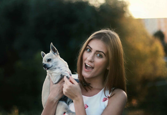 Why Dog Supplements Are Becoming Every Pet Owner’s Secret Weapon - Dr.Paul