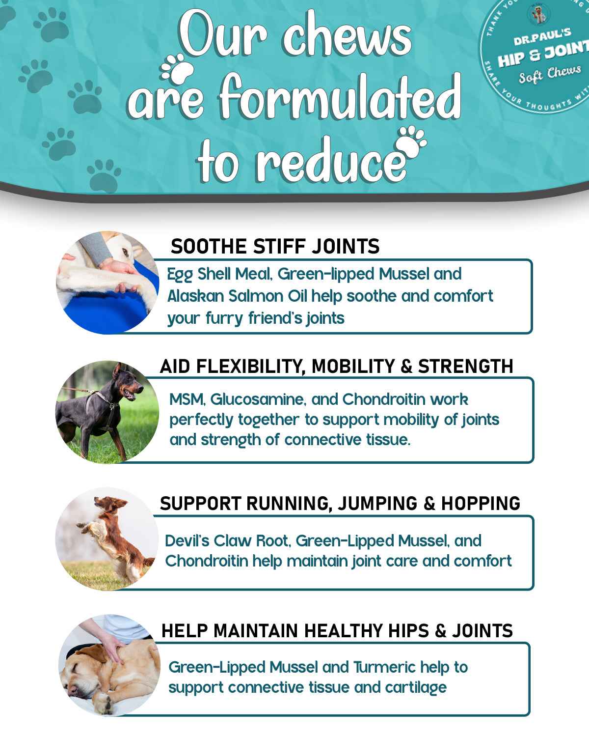 Hip and Joint Chews for Dogs - Soft Chews for Mobility, Flexibility & Joint Comfort - Dr.Paul