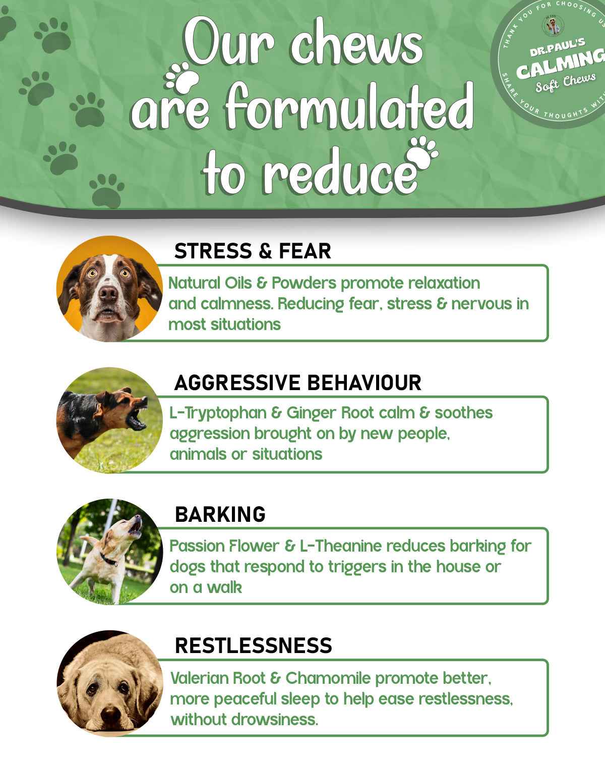 Calming Chews for Dogs – Soft Chews for Anxiety Relief, Stress Reduction & Balanced Behaviour - Dr.Paul