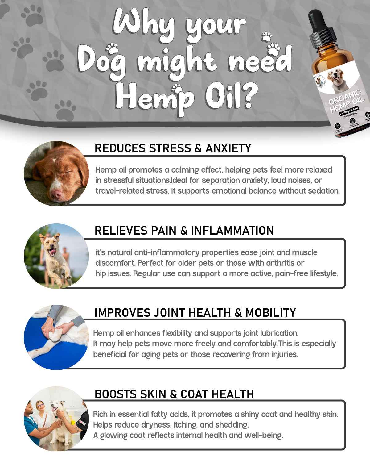 Organic Hemp Oil for Pets – Natural Anxiety Relief, Joint Mobility & Inflammation Support for Dogs & Cats - Dr.Paul