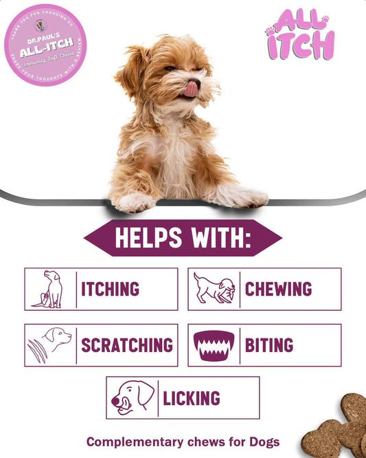 All-Itch Immunity Soft Chews for Dogs - Dog Itchy Skin Chews for Soothing and Immune Support - Dr.Paul