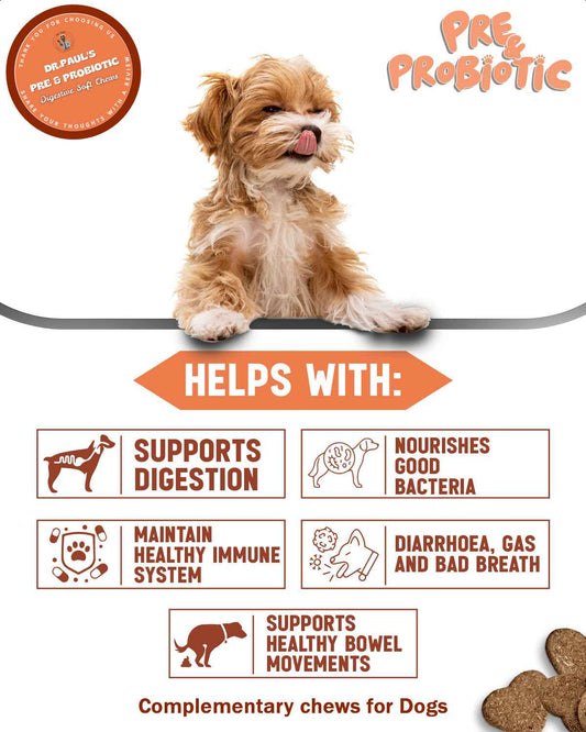 Probiotic Chews for Dogs - Pre & Probiotic Digestive Soft Chews for Gut Health, Gas Relief & Immune Support - Dr.Paul