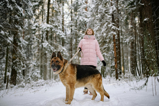 The One Thing That Could Be Holding Your Dog Back [And How to Fix It Naturally]