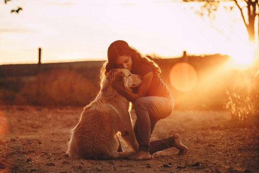 2025 Dog Health Trends Every UK Owner Needs to Know