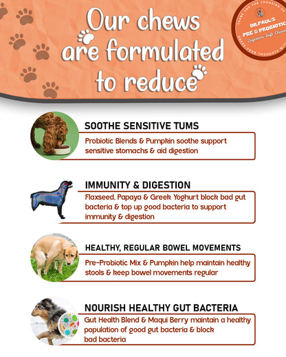 Pre & Probiotic Digestive Soft Chews for Dogs – Chews for Gut Health, Gas Relief & Immune Support