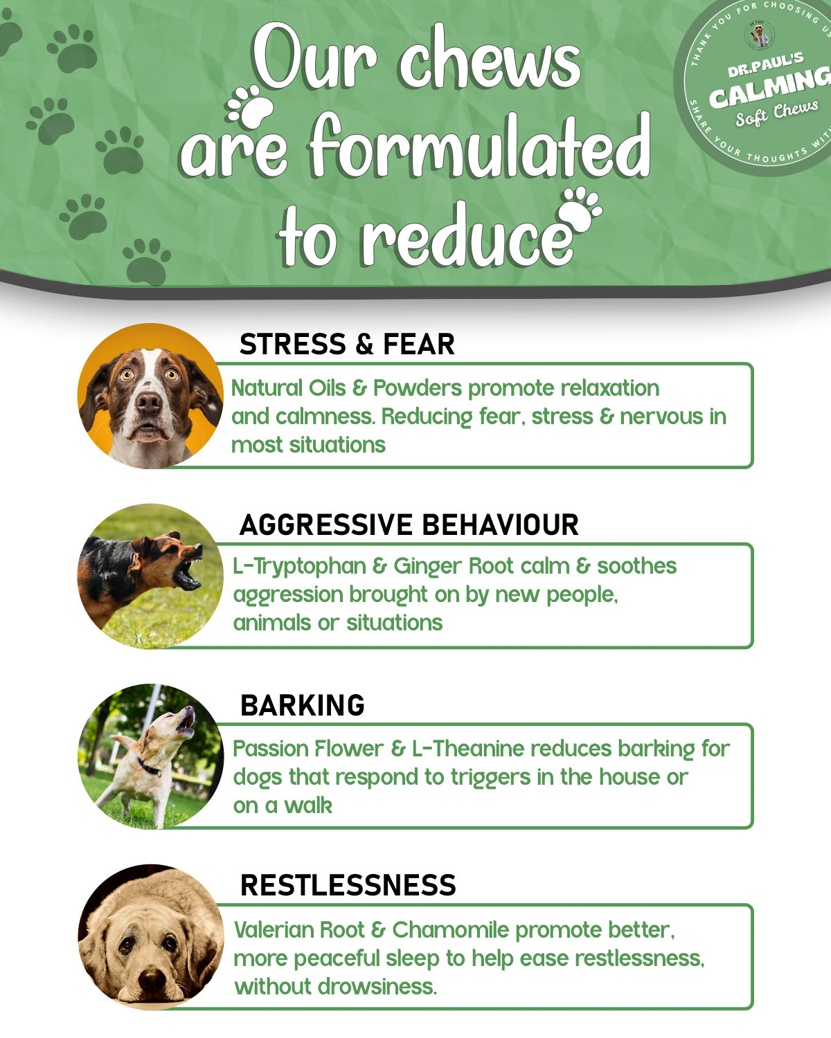 Calming Soft Chews for Dogs – Chews for Anxiety, Stress Relief & Balanced Behaviour